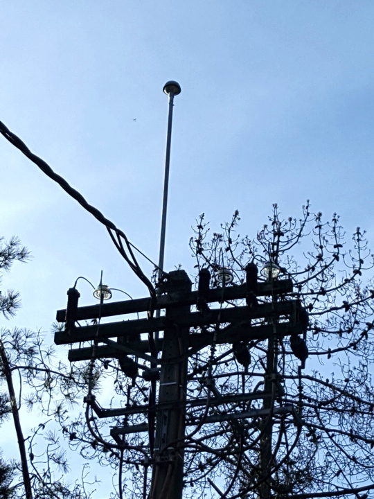 Electrical Line Protection